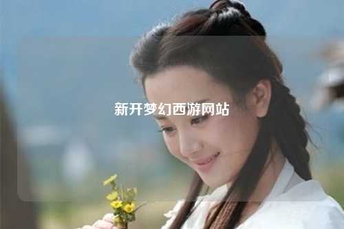 新开梦幻西游网站
